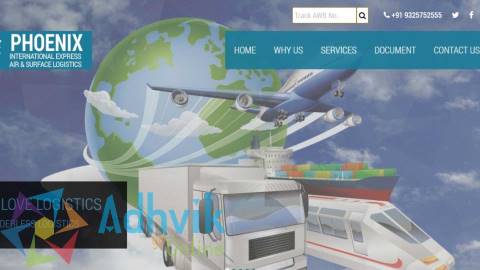 Adhvik-go-onlinephoenix